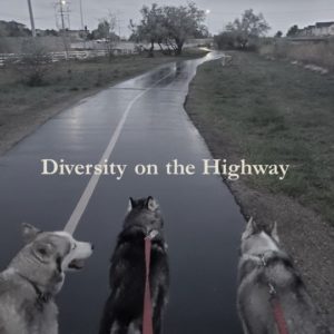 Diversity Highway Huskies